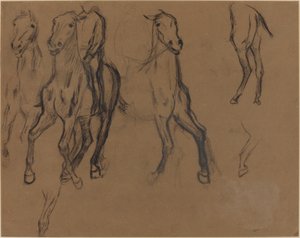 Studie van Paarden door Edgar Degas