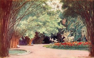 Een Bamboebos, Botanische Tuinen (kleur litho) door Edgar L. Pattison