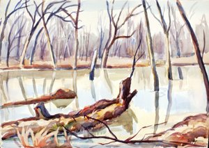 Rock Creek, Winter, ca. 1920-1929