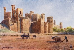Noord-Spanje: Olite, het kasteel door Edgar T. A. Wigram