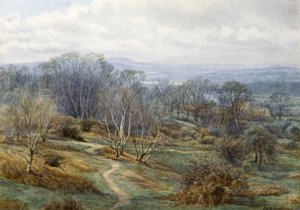 Hampstead Heath met uitzicht op Harrow on the Hill, ca. 1880 door Edith Martineau