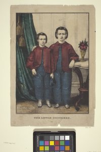 De kleine broers