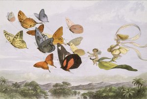 In Fairyland: Een serie afbeeldingen uit de elfenwereld door Edmund Evans