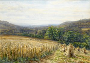 Oogsttijd nabij Ashburton, 1884 door Edmund George Warren