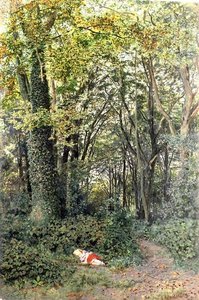 Verdwaald in het Bos