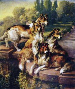Collies door Edmund Henry Osthaus