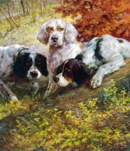 Setters door Edmund Henry Osthaus