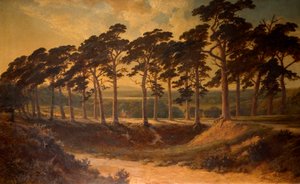 Harrow vanaf de Eerste, Hampstead Heath, 1875