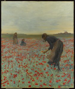 Meisjes in een Klaprozenveld, c.1896 door Edmund Montague Morris