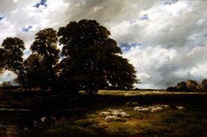 Landschap met Schapen door Edmund Morison Wimperis