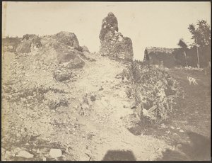 [Rotsachtig Landschap]