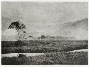 Oze Mist door Edouard Cremieux