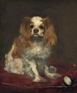 Een King Charles Spaniel door Édouard Manet