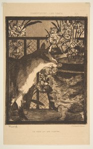 Kat en bloemen. Illustratie bij De Katten door Champfleury, 1869