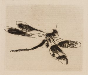 Libelle, plaat 1 van Le Fleuve door Édouard Manet