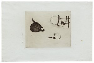 De katten