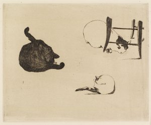 De katten, 1869