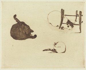 De katten, 1869