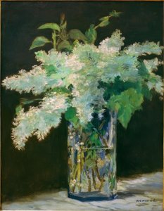Vaas met bloemen, witte seringen