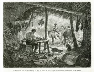 Een taxidermielaboratorium in het oerwoud, in de regio Llanos (Colombia), illustratie van het verhaal van Equinoxiale Amerika (Colombia, Ecuador, Peru), in 1875-1876, door Ed. Andre, reiziger missie belast door de Franse regering. Gravure door Edouard Riou