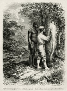 Apatou, gids en reisgenoot vraagt de ontdekkingsreiziger auteur om zijn initialen in de schors van een boom te graveren. Gravure door Riou, ter illustratie van het verhaal van Cayenne aux Andes, door Jules Crevaux, arts van de Franse marine, in 1878-1879, 