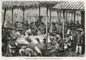 Hanenvechten en straatanimatie in Ibague (Colombia), tekening door Riou, ter illustratie van het verhaal van Equinoxiaal Amerika (Colombia, Ecuador, Peru), in 1875-1876, door Ed. Andre, reiziger belast met missie door de Franse regering. Gravure in 