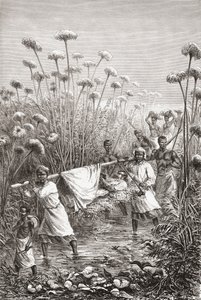 Dr. David Livingstone wordt de laatste paar mijlen naar het dorp Tchitammbo gedragen, Afrika, kort voor zijn dood, illustratie uit "The World in the Hands", gegraveerd door Henri Theophile Hildibrand door Edouard Riou
