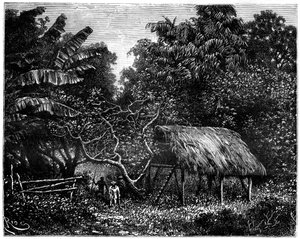 Guyana, Zuid-Amerika, 19e eeuw door Edouard Riou