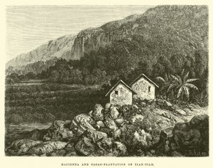 Hacienda en cacaoplantage van Tian-tian