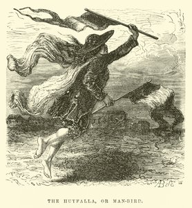 De Huyfalla, of man-vogel