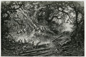 De exploitatie van mahoniehout in de bossen van de Andes. Gravure door Riou, ter illustratie van het verhaal 