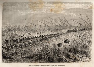 Het slepen van een stoomboot door de vegetatieriffen die het holle kanaal binnendringen om een moeras te verlaten, geëtst naar een tekening van E.Riou, ter illustratie van een gewapende expeditie in Centraal-Afrika, voor de onderdrukking van de zwarte hand door Edouard Riou