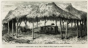 De trapiche, of suikermolen om de suikerriet te malen in Panche (Colombia), tekening door Riou, ter illustratie van het verhaal van Equinoxiale Amerika (Colombia, Ecuador, Peru), 1875-1876, door Ed. Andre, reiziger belast met een missie door de Franse rege door Edouard Riou
