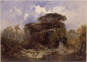  door Eduard Hildebrandt