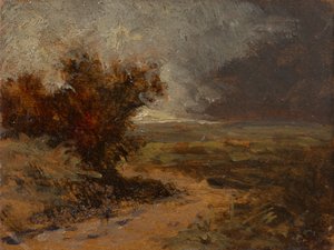 Onweerlandschap
