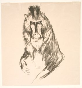 Gorilla (Mandril) door Edvard Munch