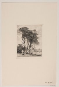 Landschap. Koeien bij een bos door Edvard Petersen