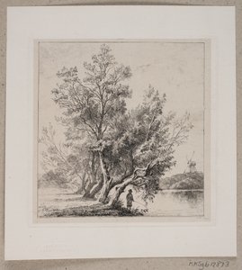 Wilgen bij de stadswal