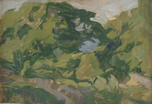 Landschap, Christiansø