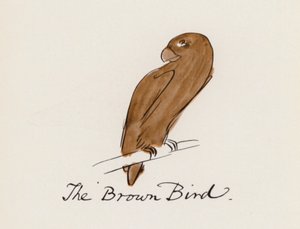 Edward Lear, Het Vogelboek: De bruine vogel