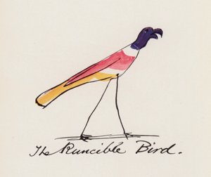 Edward Lear, Het Vogelboek: De Runcible Vogel