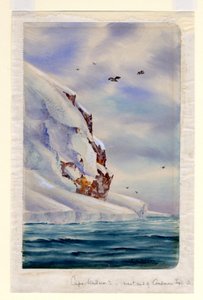 Kaap Wadsworth, Coulman Island