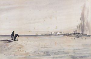De keizerspinguïnkolonie, Kaap Crozier door Edward Adrian Wilson