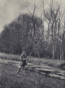 Vroege lente aan de Kennet