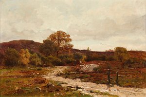 Heidelandschap