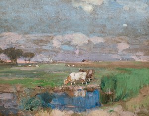 Suffolk Weiden