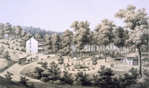 Stribling Springs, Spa Dorp, Augusta County, 1858 door Edward Beyer