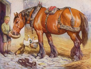 Jongen die een paard voedt op een boerenerf