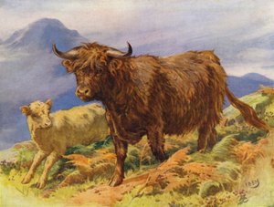 Hoogland koe en kalf door Edward Brice Montefiore