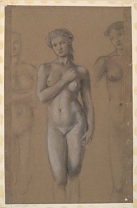 Vrouwelijk Naakt - Drie Studies, mogelijk voor Venus door Edward Burne-Jones